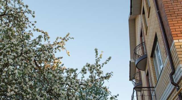 Гостиница Вишневый сад Тверь-22